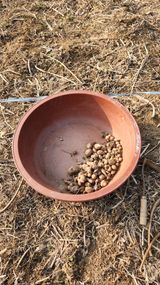 팜모닝 콩·영농일지 게시글 이미지