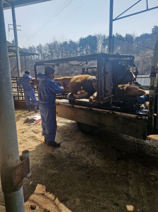백운농원 님의 기타작물 · 영농일지 작성글 사진