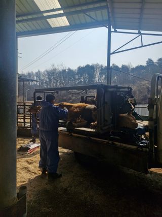 백운농원 님의 기타작물 · 영농일지 작성글 사진