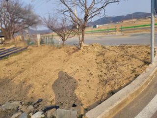 김춘성님의 기타작물 · 영농일지 작성글 사진