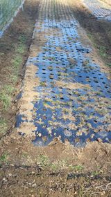 팜모닝 기타작물·영농일지 게시글 이미지