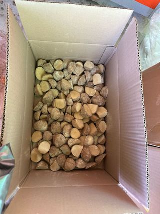 이익수님의 사과 · 영농일지 작성글 사진