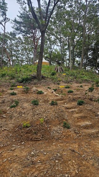 최강K님의 기타작물 · 영농일지 작성글 사진