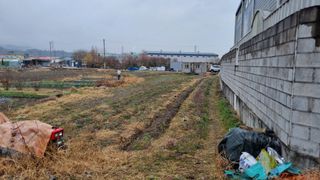 김동명님의 들깨 · 영농일지 작성글 사진