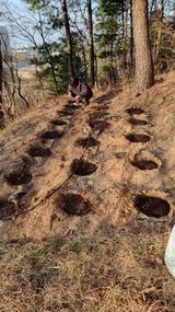 팜모닝 호박·영농일지 게시글 이미지