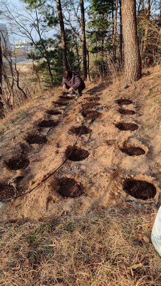 권혁렬님의 호박 · 영농일지 작성글 사진