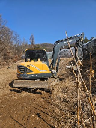 드라곤해드님의 포도 · 영농일지 작성글 사진