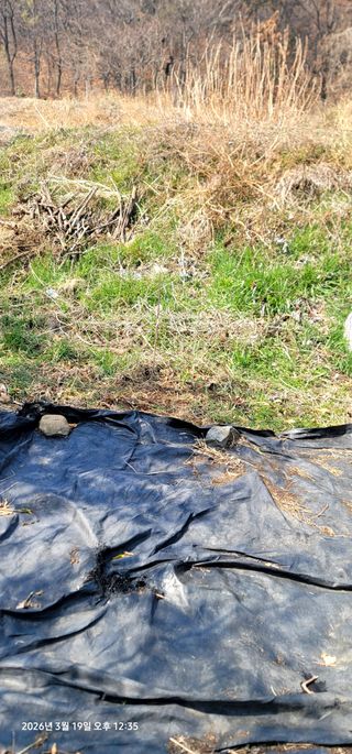 박종화님의 기타작물 · 영농일지 작성글 사진