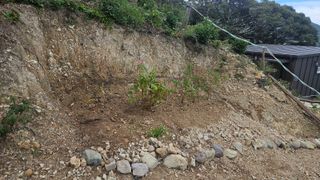 최강K님의 기타작물 · 영농일지 작성글 사진