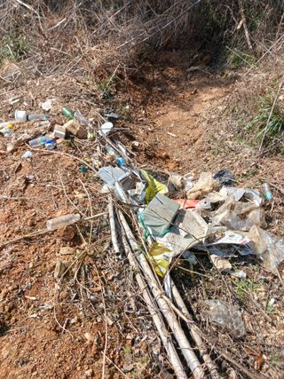 홍순복님의 기타작물 · 영농일지 작성글 사진