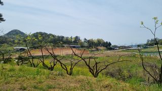 최강K님의 기타작물 · 영농일지 작성글 사진