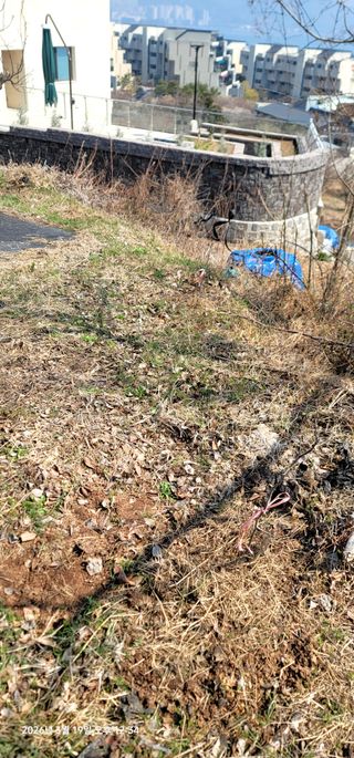 박종화님의 기타작물 · 영농일지 작성글 사진