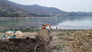 최강K님의 기타작물 · 영농일지 작성글 사진