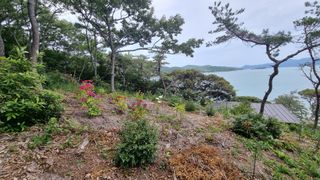 최강K님의 기타작물 · 영농일지 작성글 사진