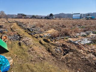 양홍주님의 고추 · 영농일지 작성글 사진