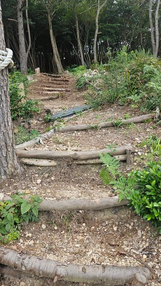 최강K님의 기타작물 · 영농일지 작성글 사진