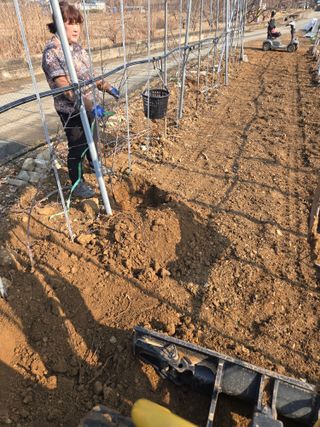 홍1237님의 기타작물 · 영농일지 작성글 사진