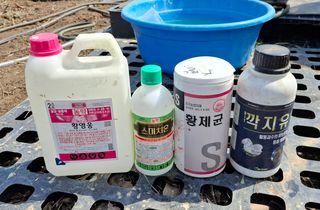 철남 김희곤님의 사과 · 영농일지 작성글 사진