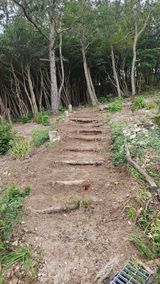 팜모닝 기타작물·영농일지 게시글 이미지