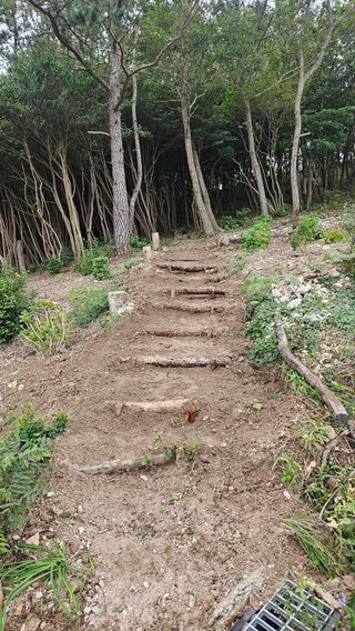 최강K님의 기타작물 · 영농일지 작성글 사진