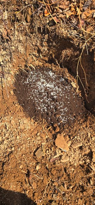 돌복숭아님의 기타작물 · 영농일지 작성글 사진