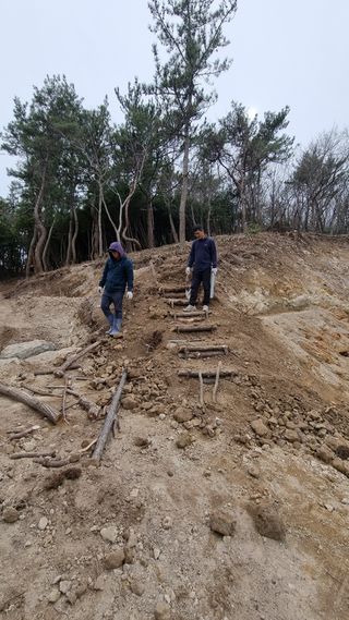 최강K님의 기타작물 · 영농일지 작성글 사진