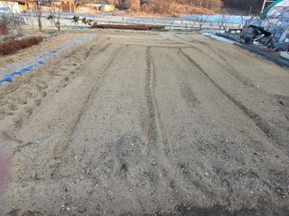 아리랑님의 벼 · 영농일지 작성글 사진