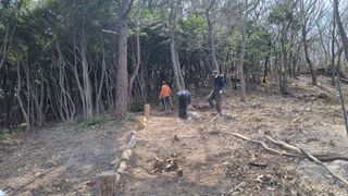 최강K님의 기타작물 · 영농일지 작성글 사진