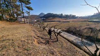 최강K님의 기타작물 · 영농일지 작성글 사진