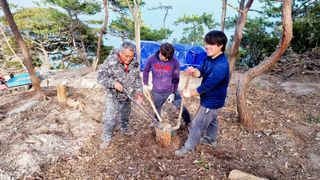 최강K님의 기타작물 · 영농일지 작성글 사진