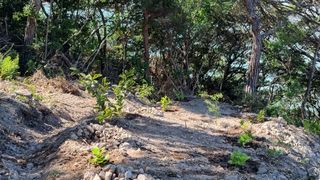 최강K님의 기타작물 · 영농일지 작성글 사진