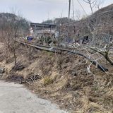 가로수님의 작성글 사진