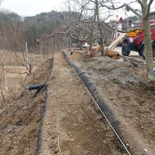 가로수님의 기타작물 · 영농일지 작성글 사진