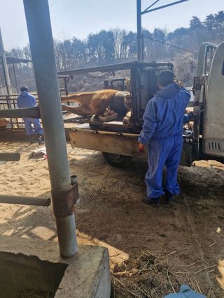 백운농원 님의 기타작물 · 영농일지 작성글 사진