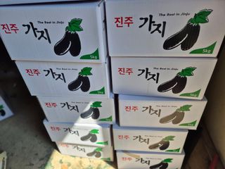 늘햇살팜 님의 기타작물 · 영농일지 작성글 사진