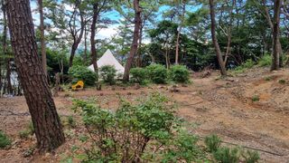 최강K님의 기타작물 · 영농일지 작성글 사진