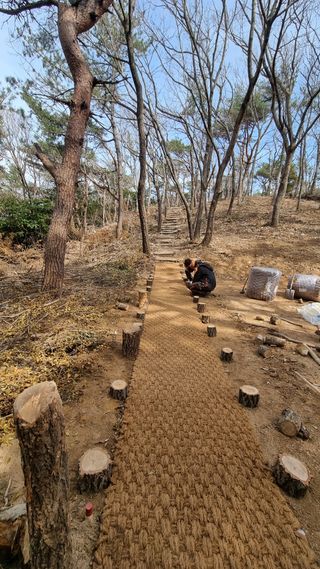 최강K님의 기타작물 · 영농일지 작성글 사진