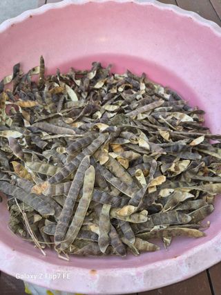 덕포킴님의 기타작물 · 영농일지 작성글 사진