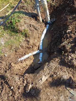 보공(김대호)님의 기타작물 · 영농일지 작성글 사진