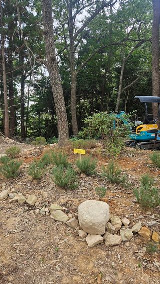 최강K님의 기타작물 · 영농일지 작성글 사진