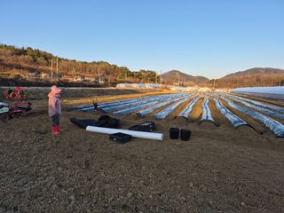 이덕훈(바쁜사람)님의 기타작물 · 영농일지 작성글 사진