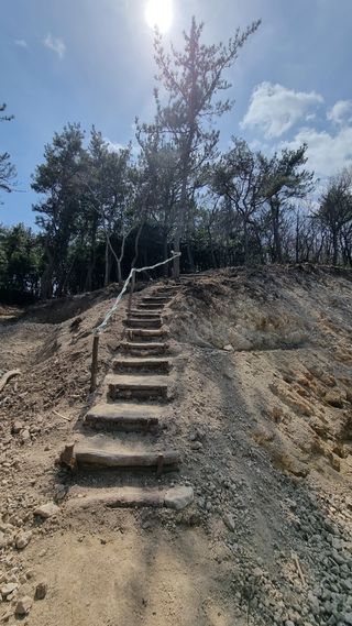 최강K님의 기타작물 · 영농일지 작성글 사진