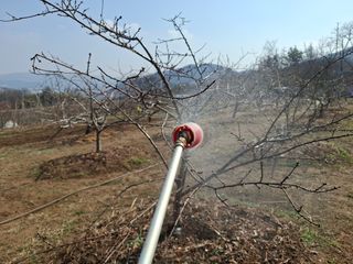 철남 김희곤님의 사과 · 영농일지 작성글 사진