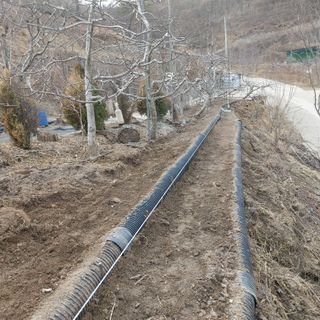 가로수님의 기타작물 · 영농일지 작성글 사진