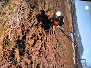 김연숙님의 고추 · 영농일지 작성글 사진