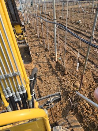 홍1237님의 기타작물 · 영농일지 작성글 사진