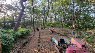 최강K님의 기타작물 · 영농일지 작성글 사진