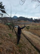 팜모닝 기타작물·영농일지 게시글 이미지