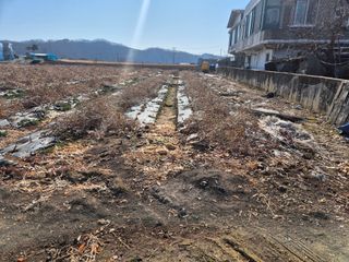 양홍주님의 고추 · 영농일지 작성글 사진