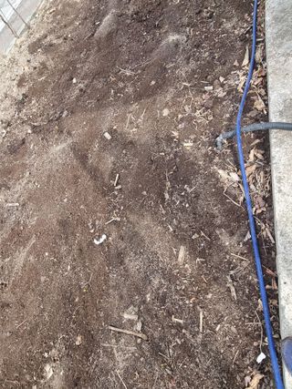 김용대님의 기타작물 · 영농일지 작성글 사진